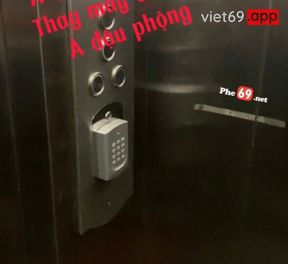 Ảnh 5 của Checker Pita em máy bay tình cảm cá tính, lần đầu gặp mà đi 2 khách sạn